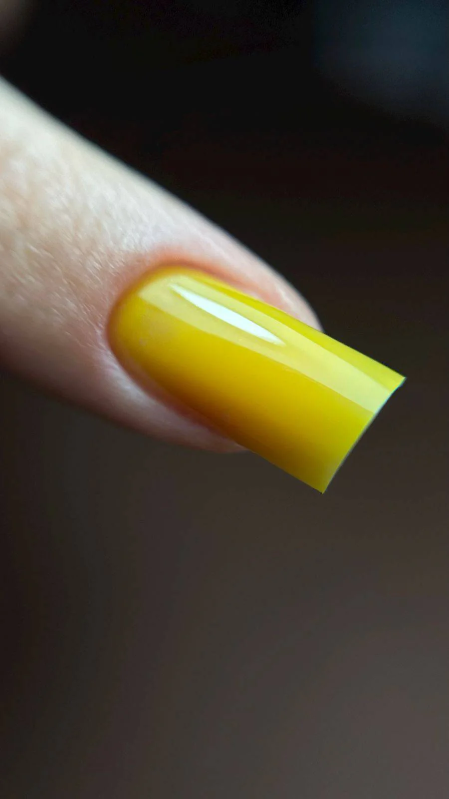 Vitrail Honey - Image 3